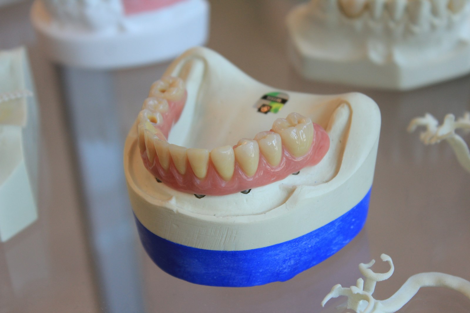 Full denture model illustrating adjusting to new dentures